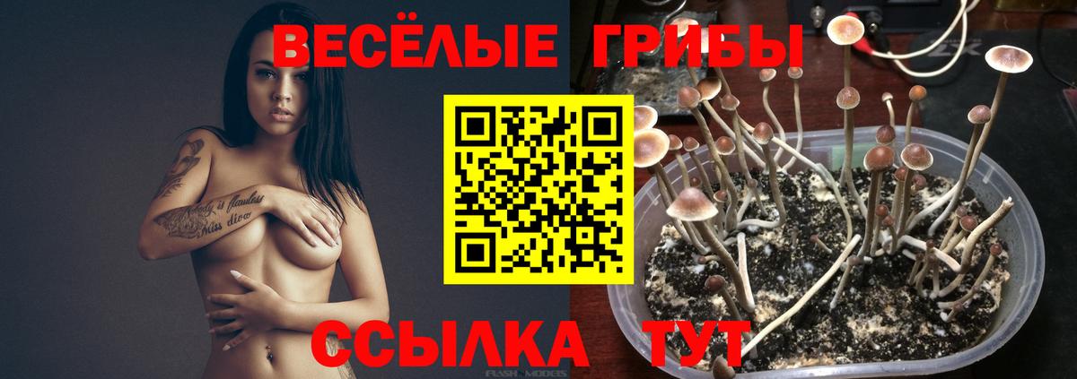 Метамфетамин  ГАШИШ  МАРИХУАНА  Кокаин  NBOMe  Балтийск  МЕФ кристаллы  Вход с VPN  Экстази 